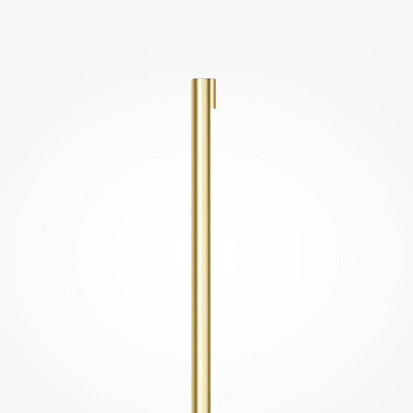Renaissance Gold Wall Lamp