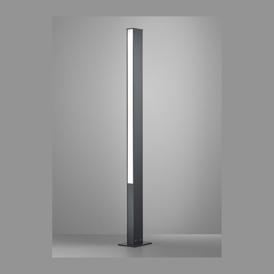 Borne lumineuse verticale anthracite, face avant avec diffuseur blanc, fond gris