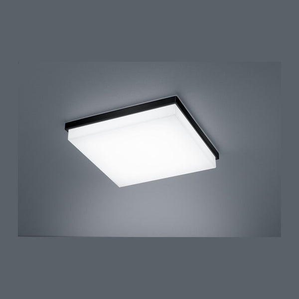 Plafonnier LED | Cosi Noir L 31,5 cm