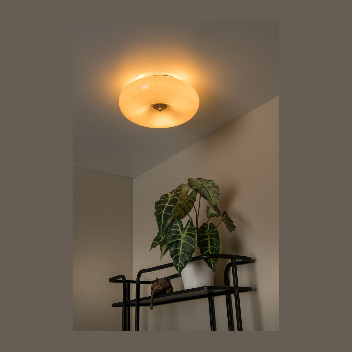 Plafonnier allumé au plafond d'un coin, plante verte en dessous