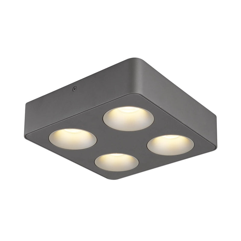 Spot LED | Hangarau L 22,4 cm