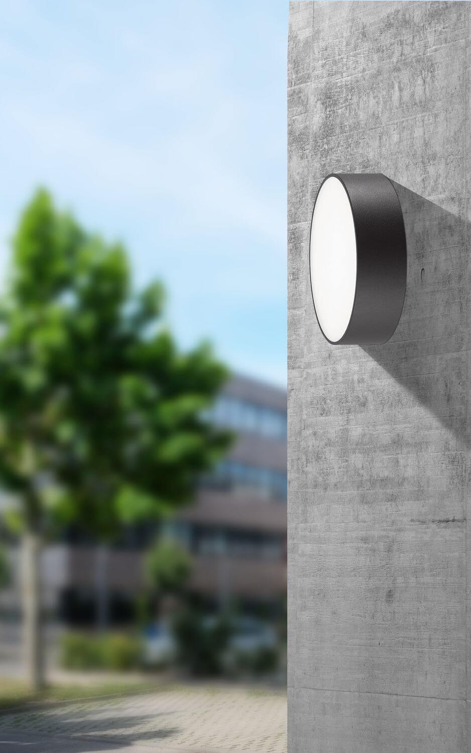 Mise en ambiance du luminaire mural extérieur anthracite fixé sur un mur béton, avec arbre flou.