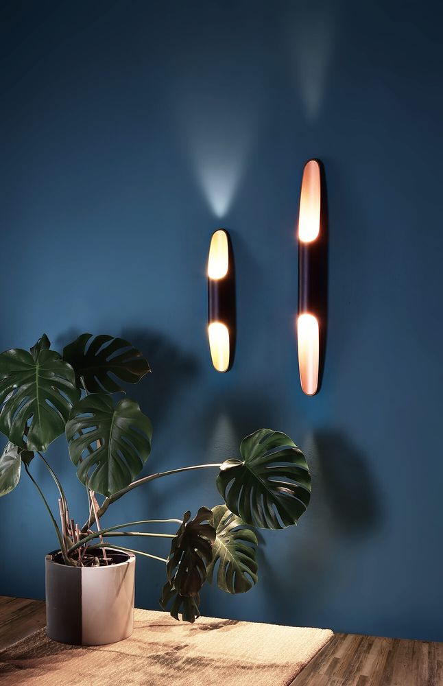 Ambiance sur mur bleu nuit avec une monstera, deux appliques de tailles différentes.