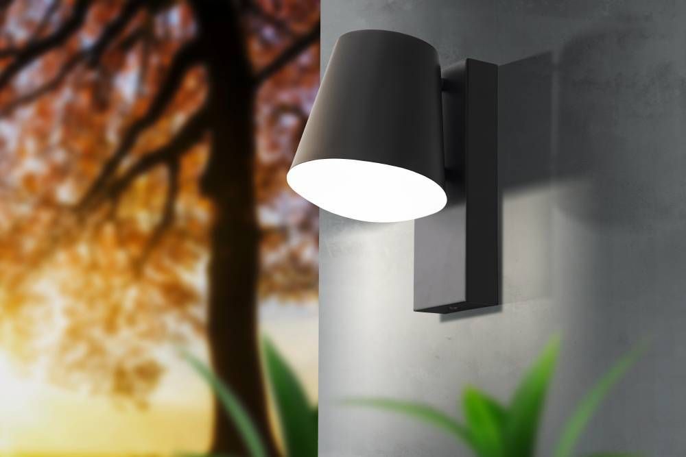 Mise en ambiance extérieure sur mur gris, feuillage automnal flou en arrière-plan