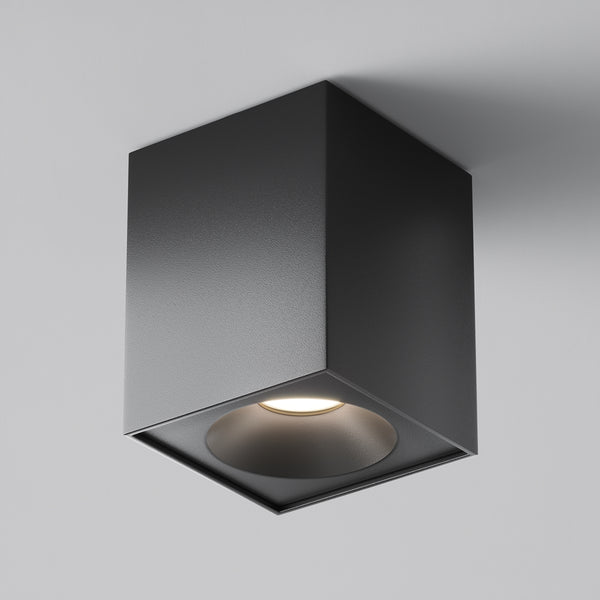 Black ceiling spotlight