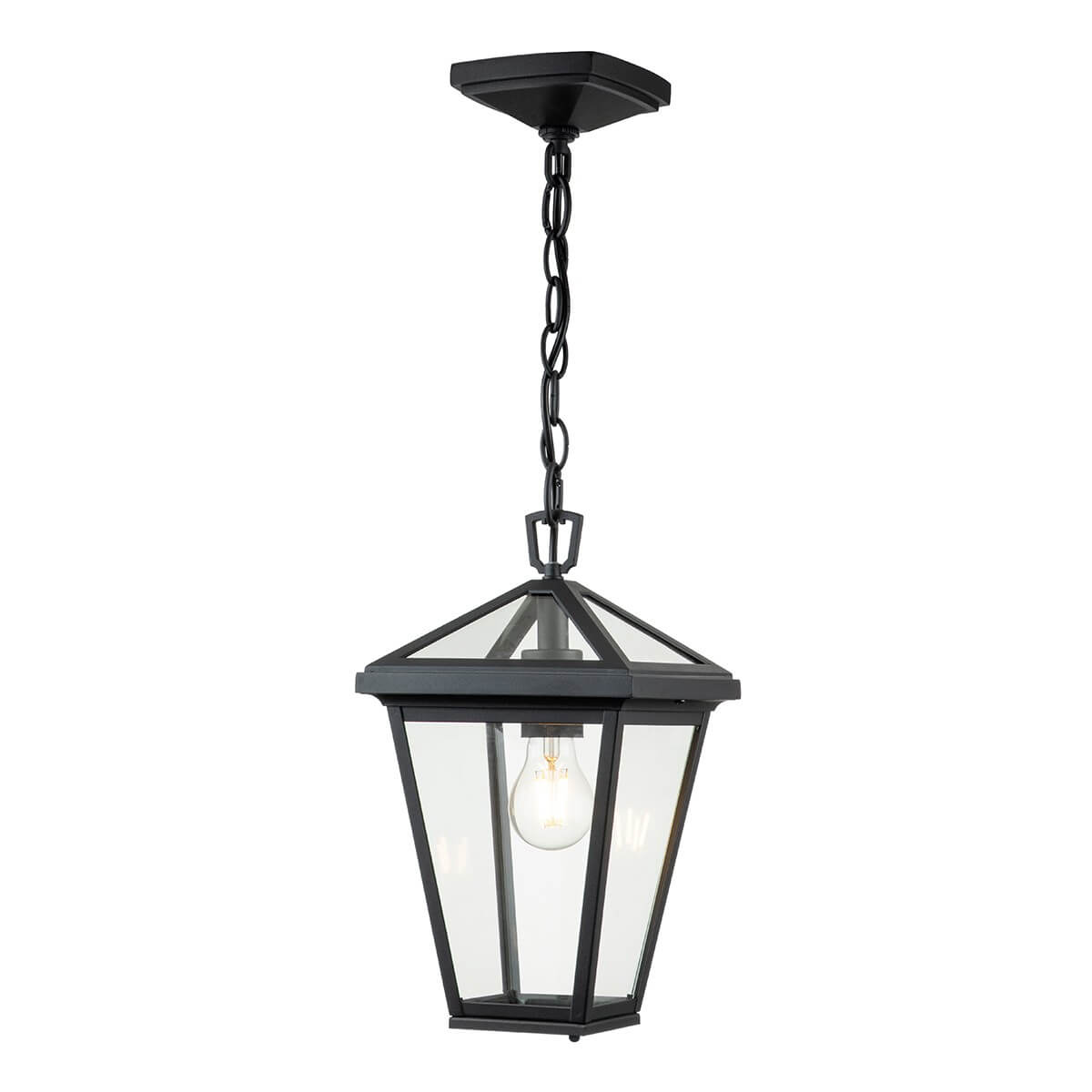 Suspension extérieure Alford Place noire et transparente, verre