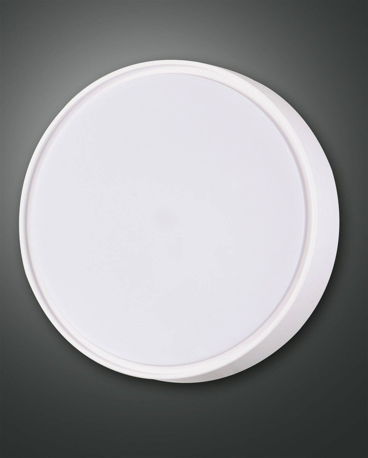 Plafonnier extérieur Hatton 2 lumières blanc (3229-65-102)