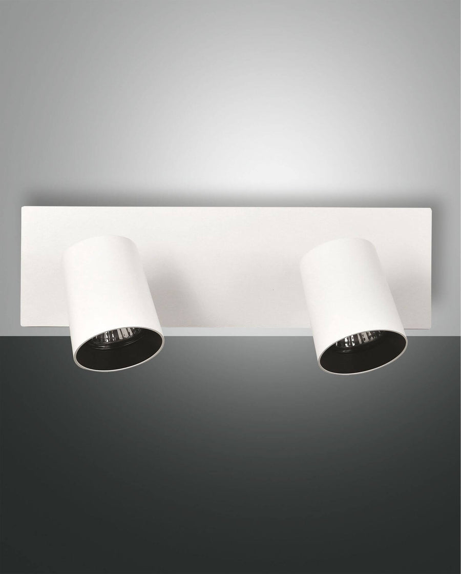 Spot blanc deux lumières vu de face, projecteurs cylindriques orientables sur platine rectangulaire