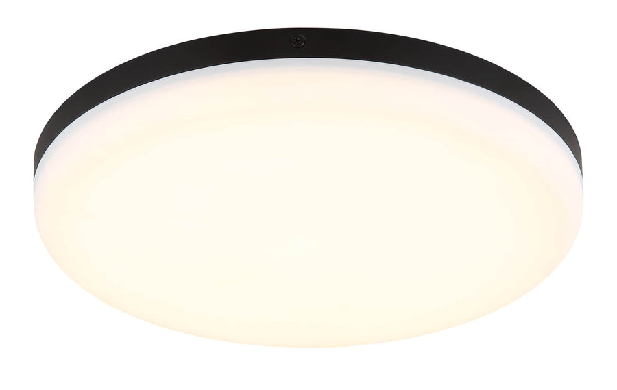 Vue rapprochée du cerclage métallique noir et du grand diffuseur blanc opale