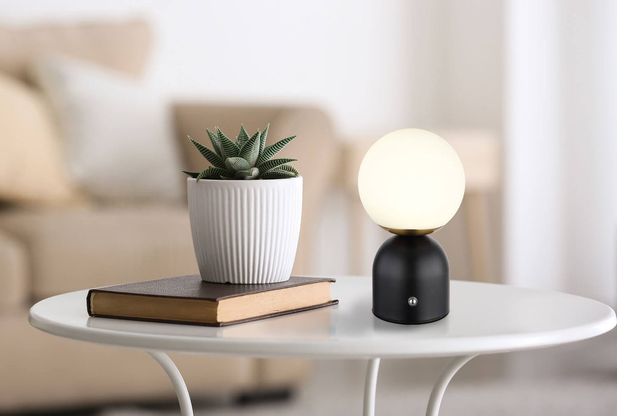 Mise en ambiance sur table basse blanche avec plante grasse et livre