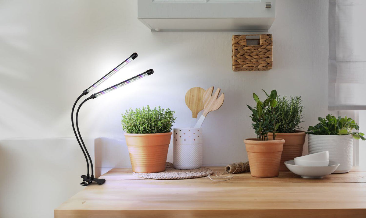 Lampe à pince éclairant des plantes aromatiques en pots sur un plan de travail en bois