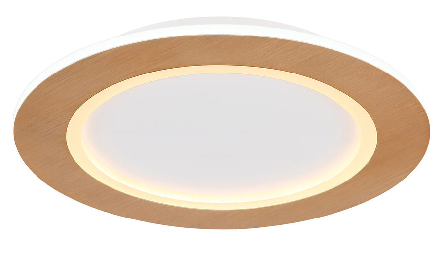 Vue rapprochée du diffuseur blanc et de l'anneau lumineux chaud