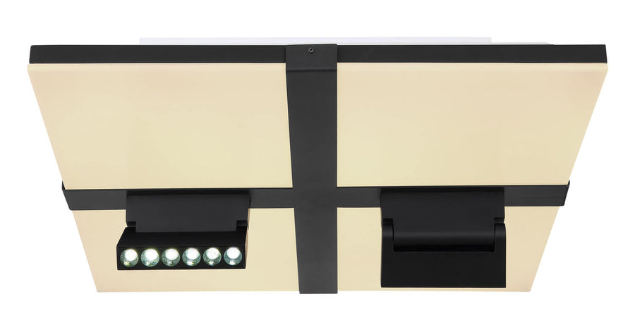 Détail d'une tête orientable équipée de six petites LED alignées