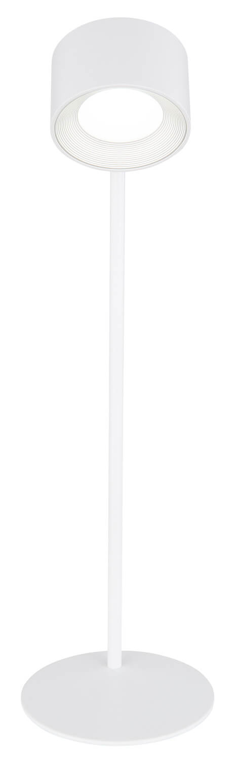Vue en contre-plongée de la lampe, dévoilant le dessous de la tête et le pied.