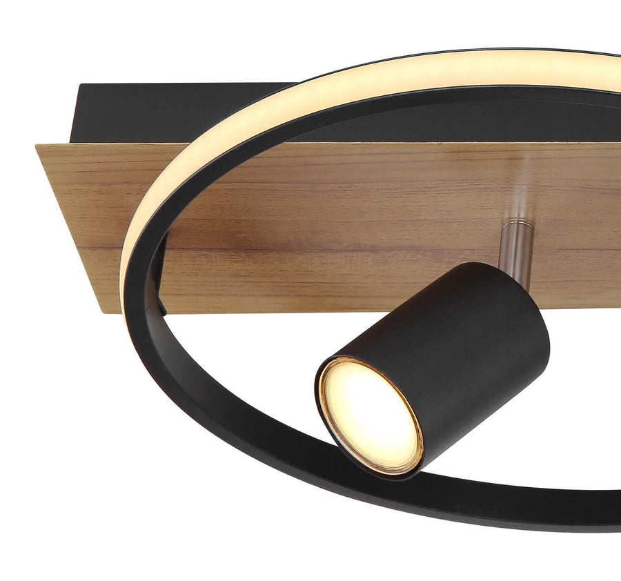 Plafonnier Danny noir mat