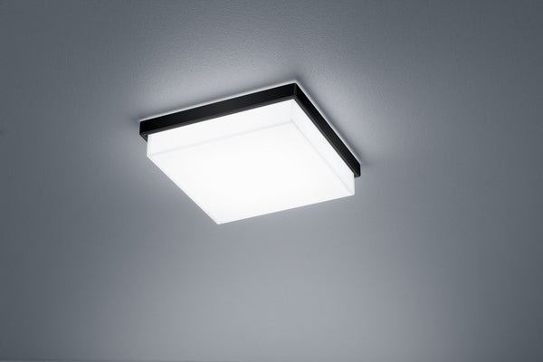 Plafonnier LED | Cosi Noir