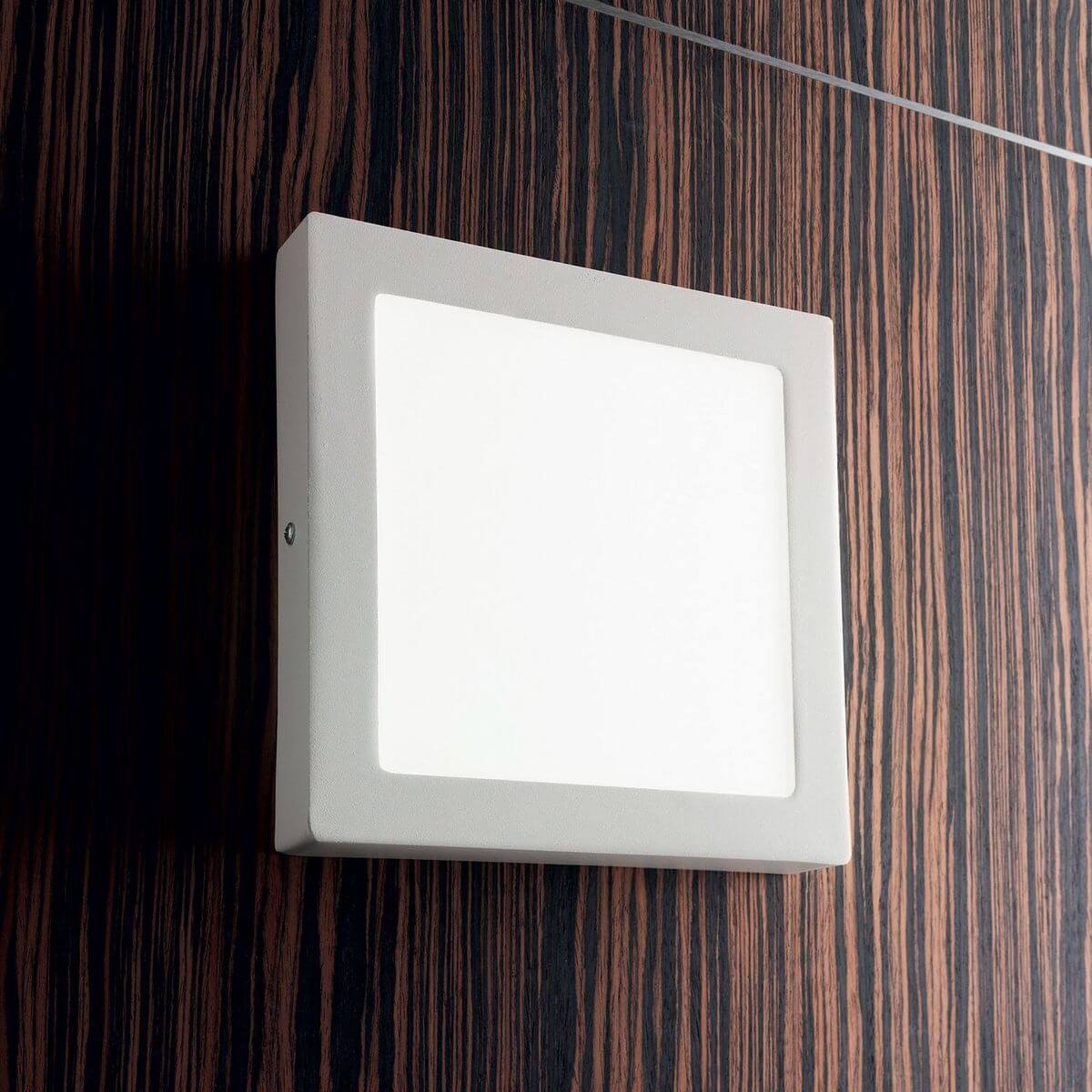 Plafonnier Universal blanc, L 30 cm (138657)