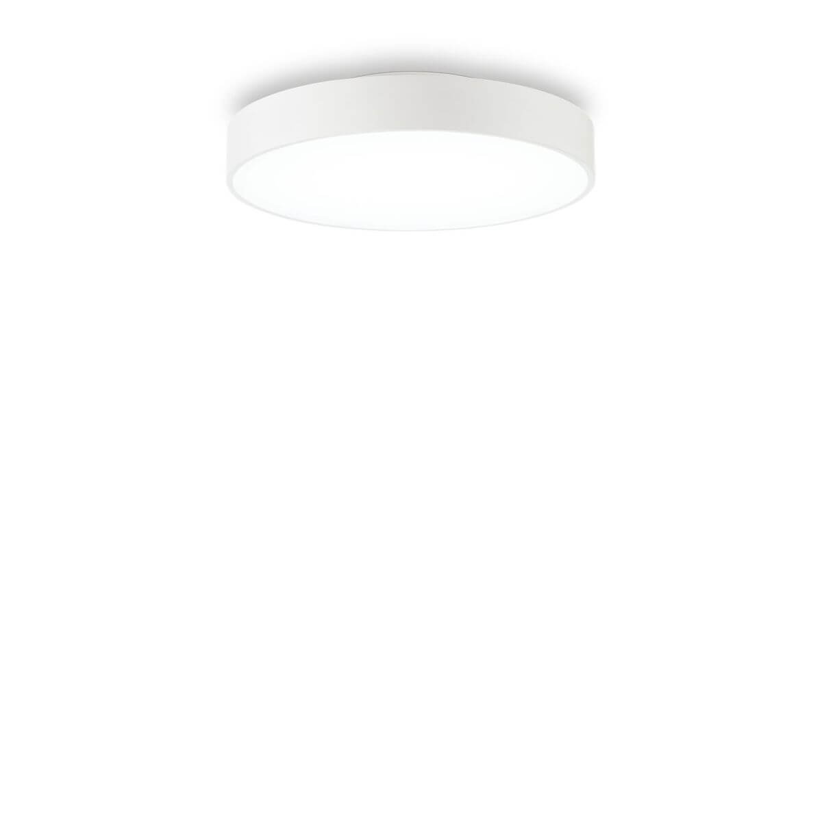 Vue de face du plafonnier rond blanc, diffuseur opale et cerclage fin