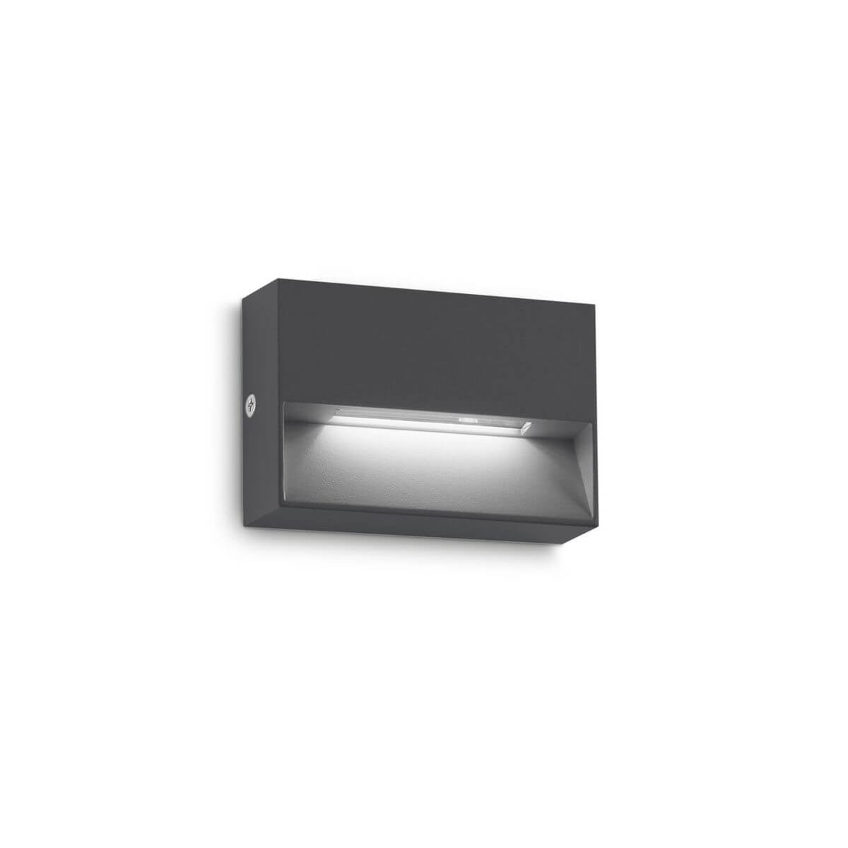 Applique extérieure Dedra anthracite, L 6,6 cm