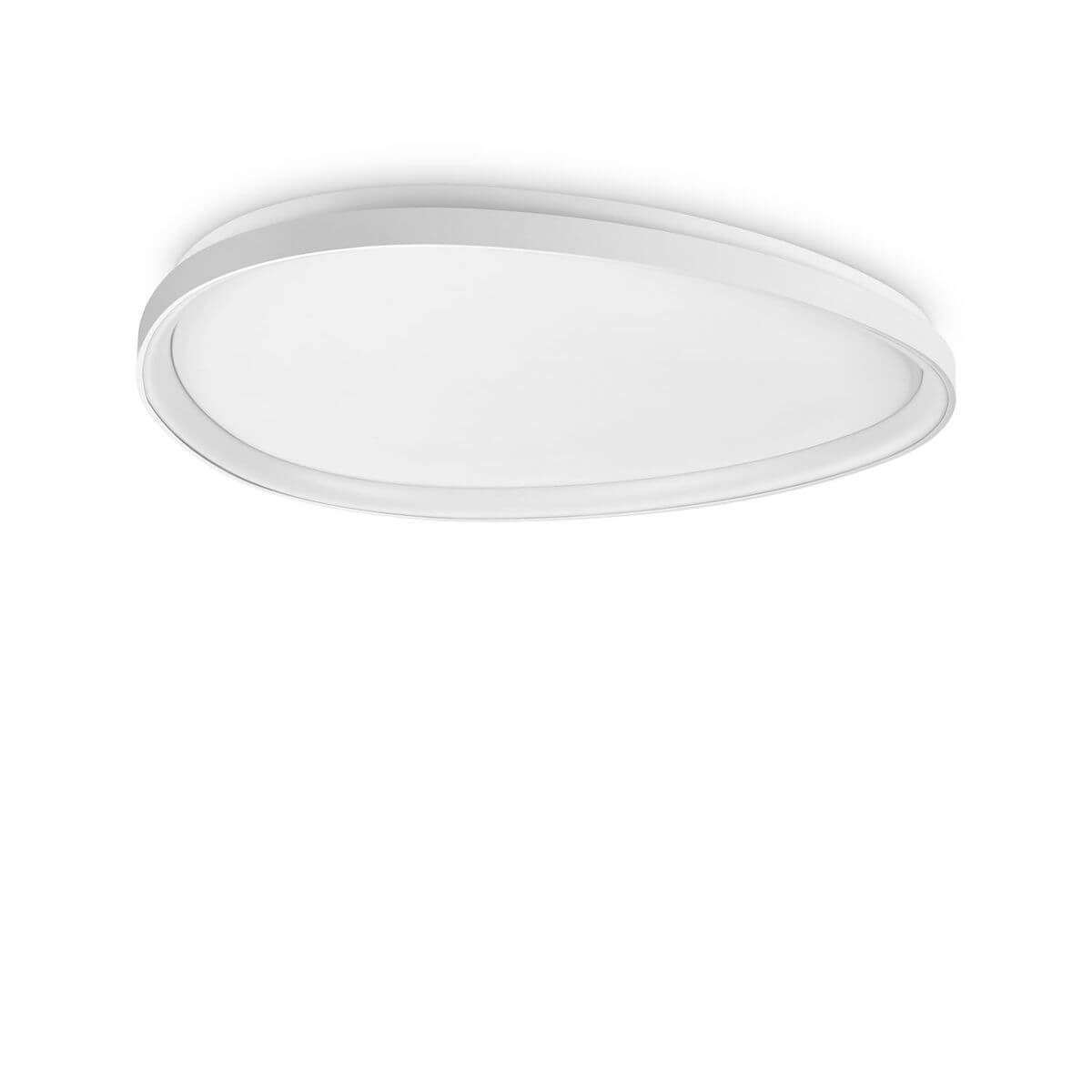Plafonnier rond blanc vu de face, diffuseur opalin et cerclage fin