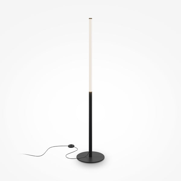 Ray Black Floor Lamp