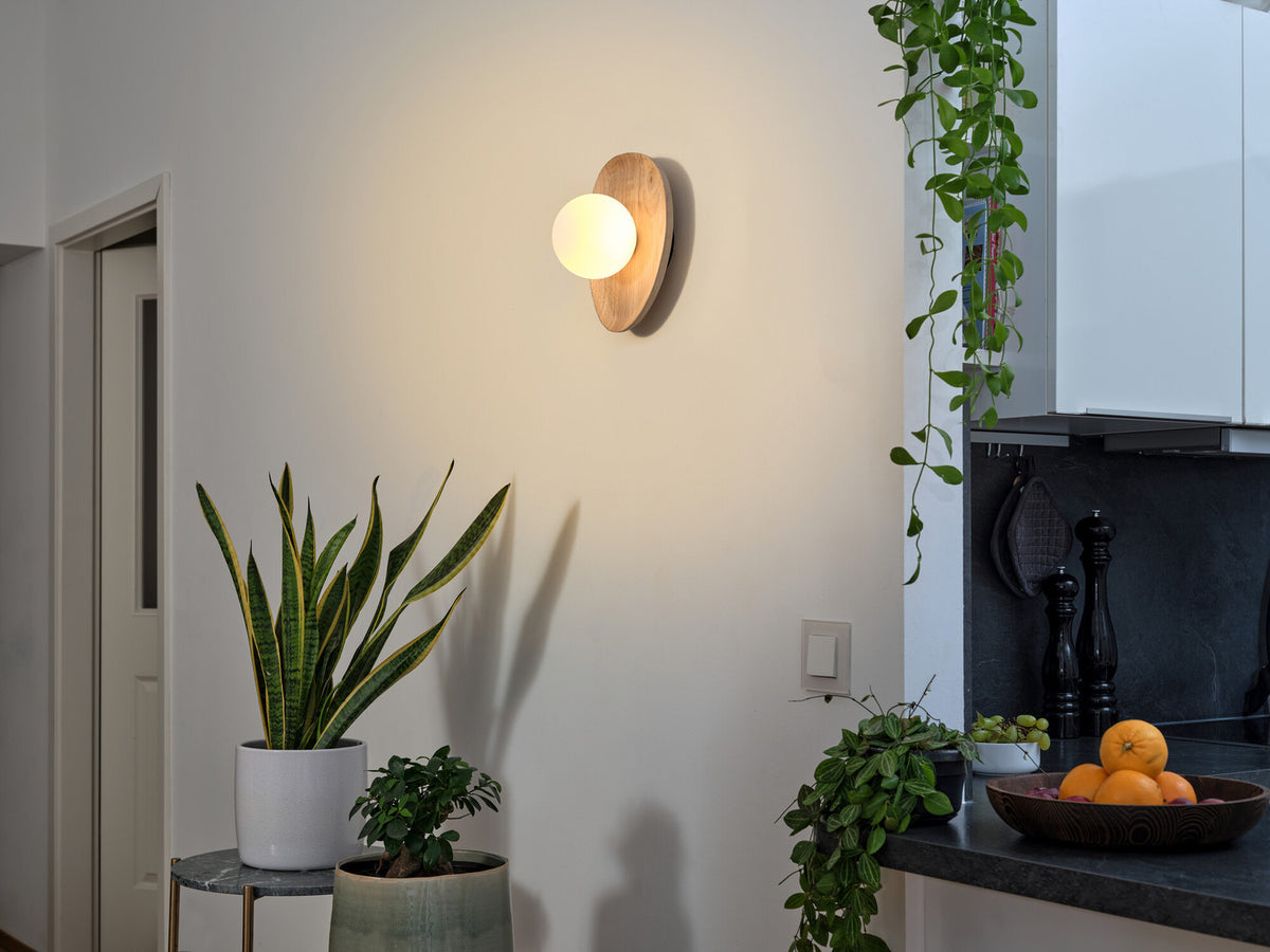 Mise en ambiance dans une cuisine lumineuse, applique allumée près de plantes vertes