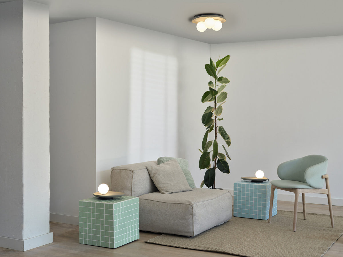 Plafonnier au-dessus d’un salon avec canapé, plante et deux lampes assorties.