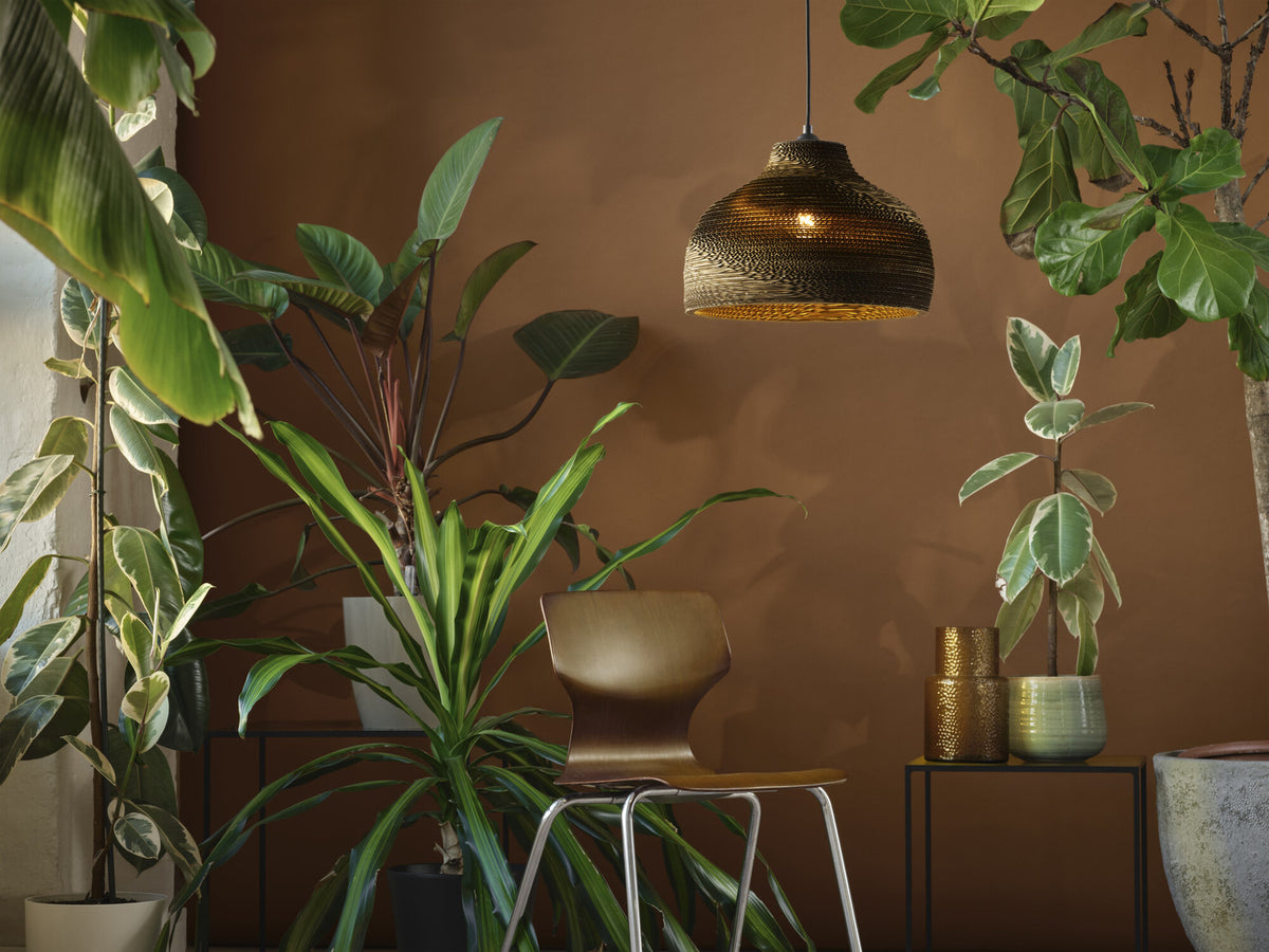 Suspension allumée dans un salon aux murs bruns, entourée de grandes plantes vertes.