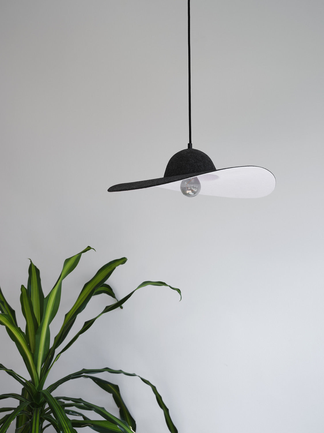 Profil de la suspension éclairée sur fond de mur blanc, plante verte au premier plan.