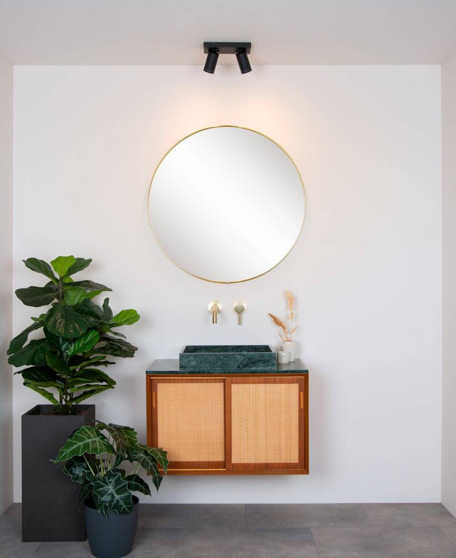 Plan large de la salle de bain avec plafonnier, plante verte et meuble vasque