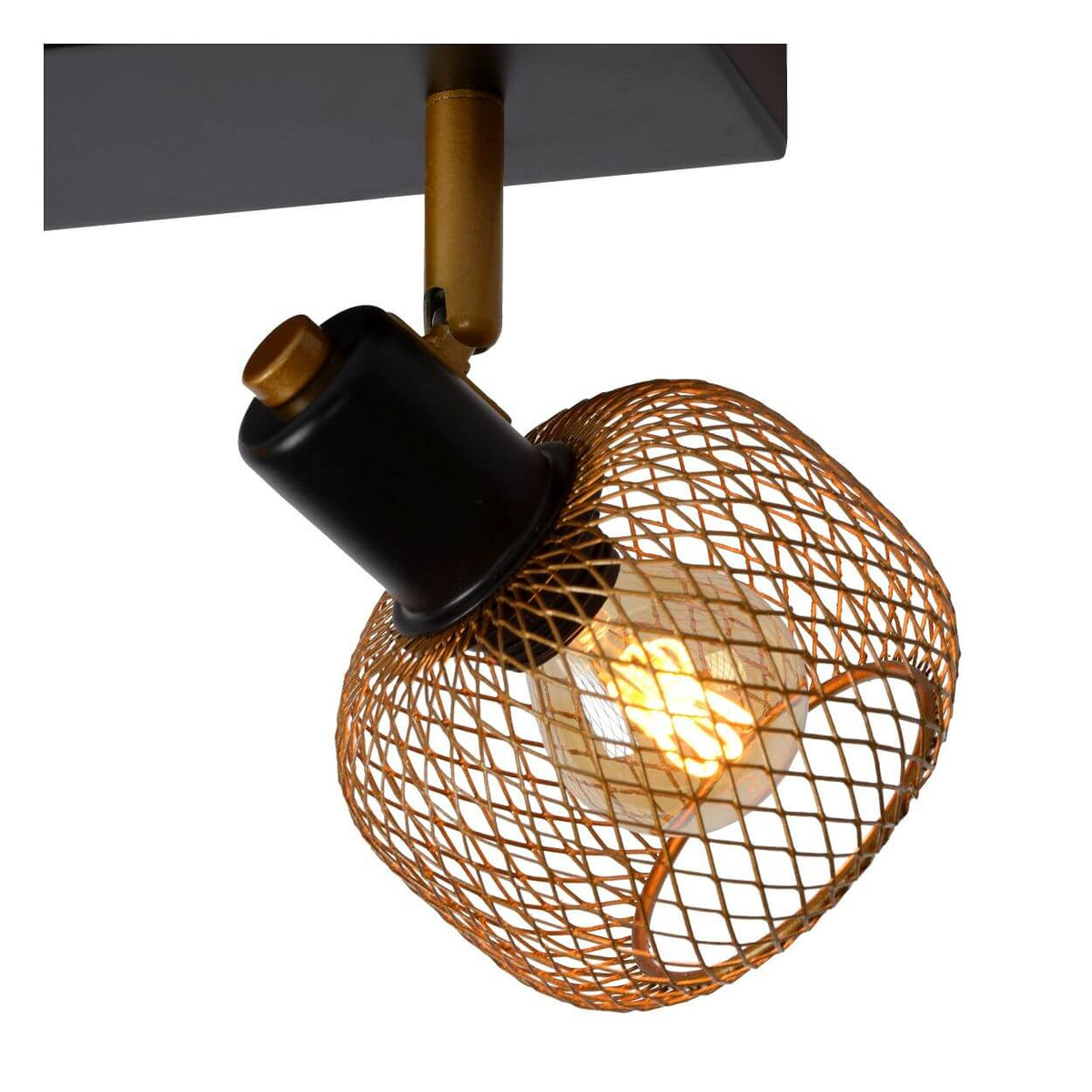 Détail d'une tête orientable, cage dorée et douille noire fixée sur tige