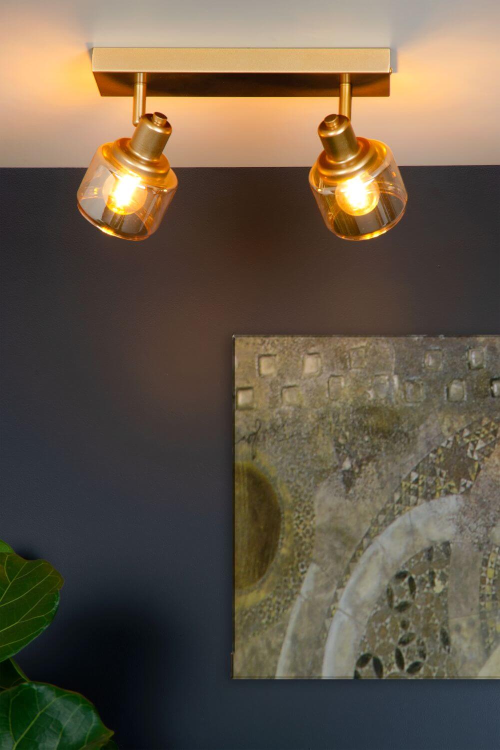 Mise en ambiance avec plante verte et tableau, plafonnier allumé orienté vers le bas.