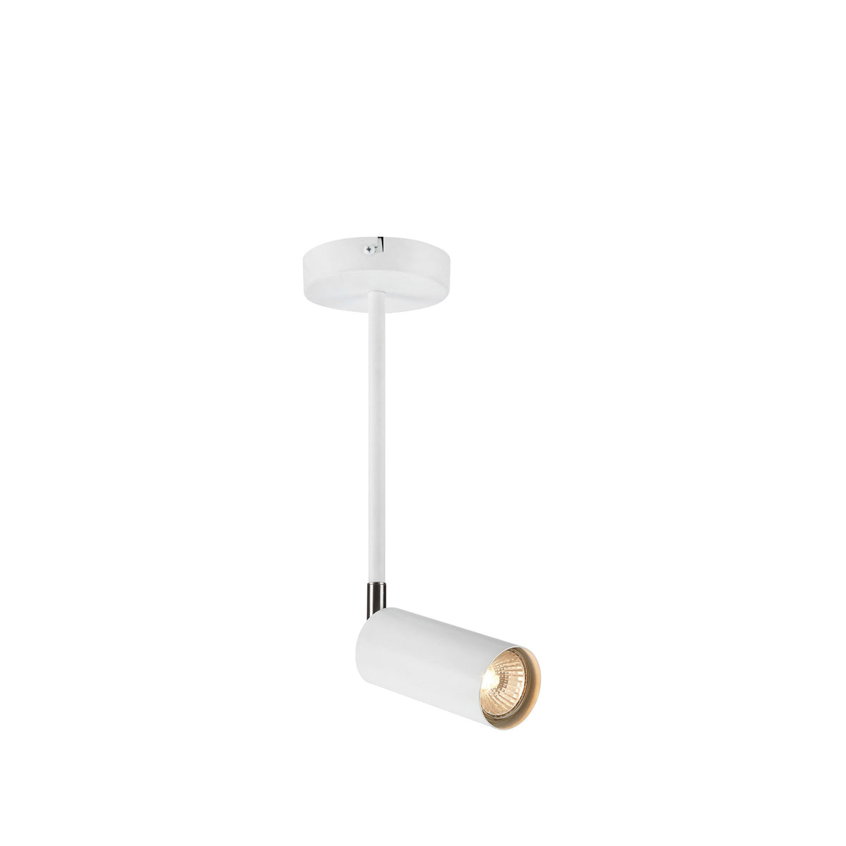 Spot de plafond Torino