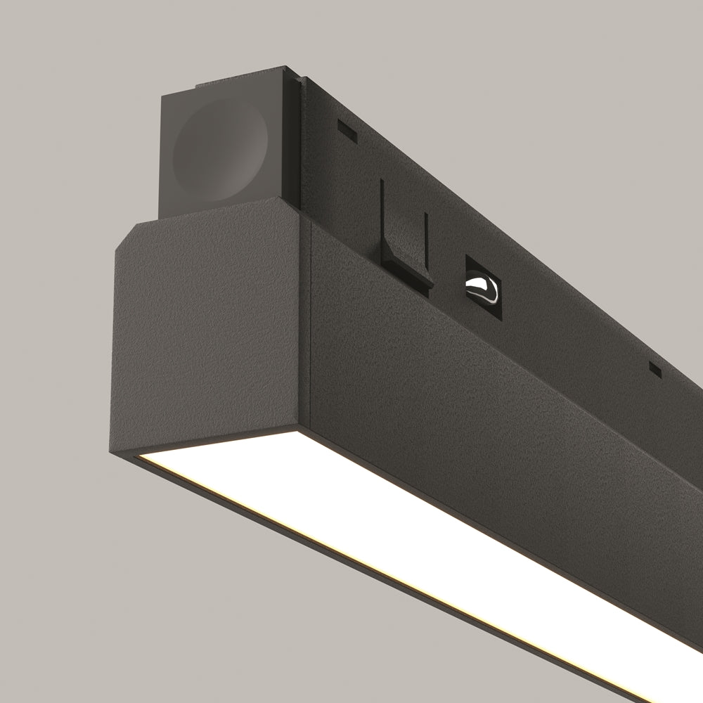 Basis Spot noir