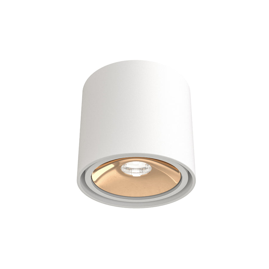 Spot plafond Neo orientable, 8 W