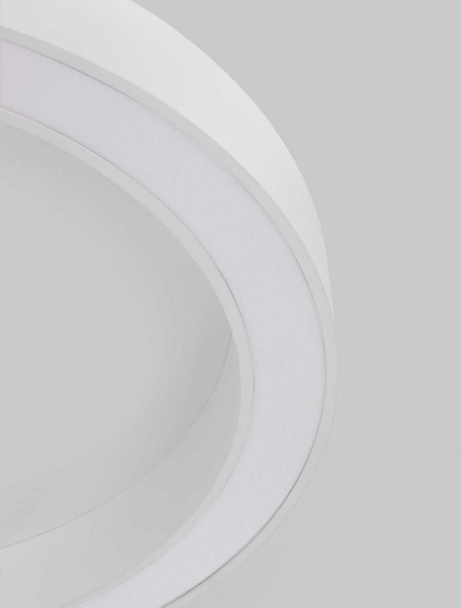 Détail rapproché de l'anneau blanc et de sa large surface diffuse