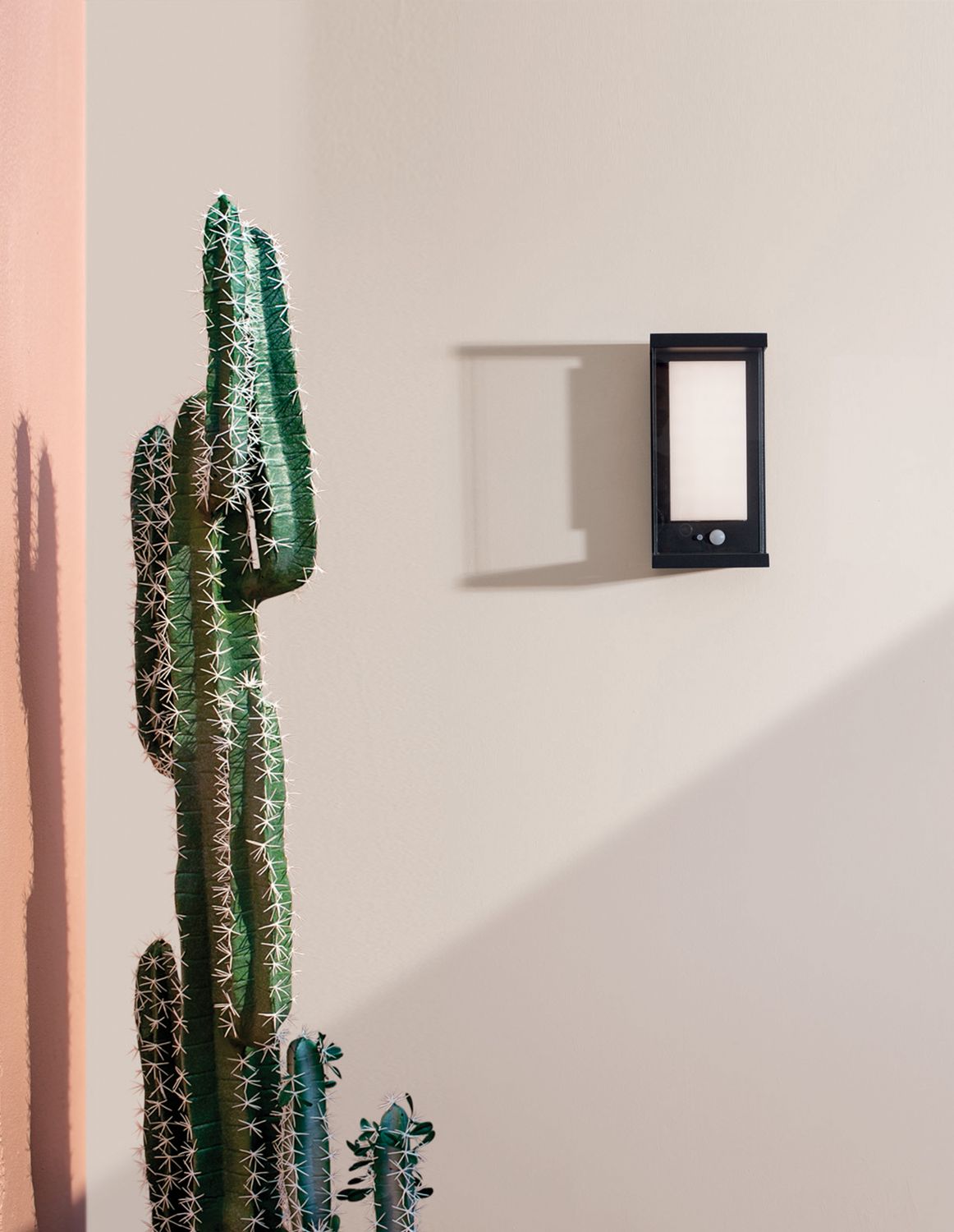 Applique murale noire allumée sur mur beige, à côté d'un grand cactus