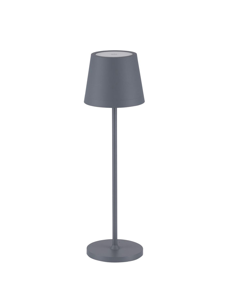 Lampe extérieure grise de face sur fond blanc, tige fine et socle rond.