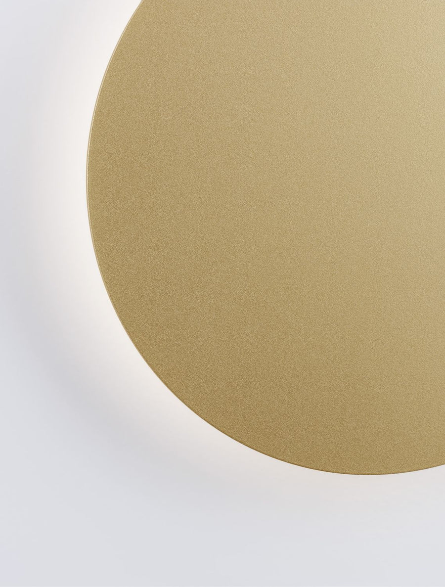 Gros plan sur la surface dorée mate et sa texture fine, bord du disque