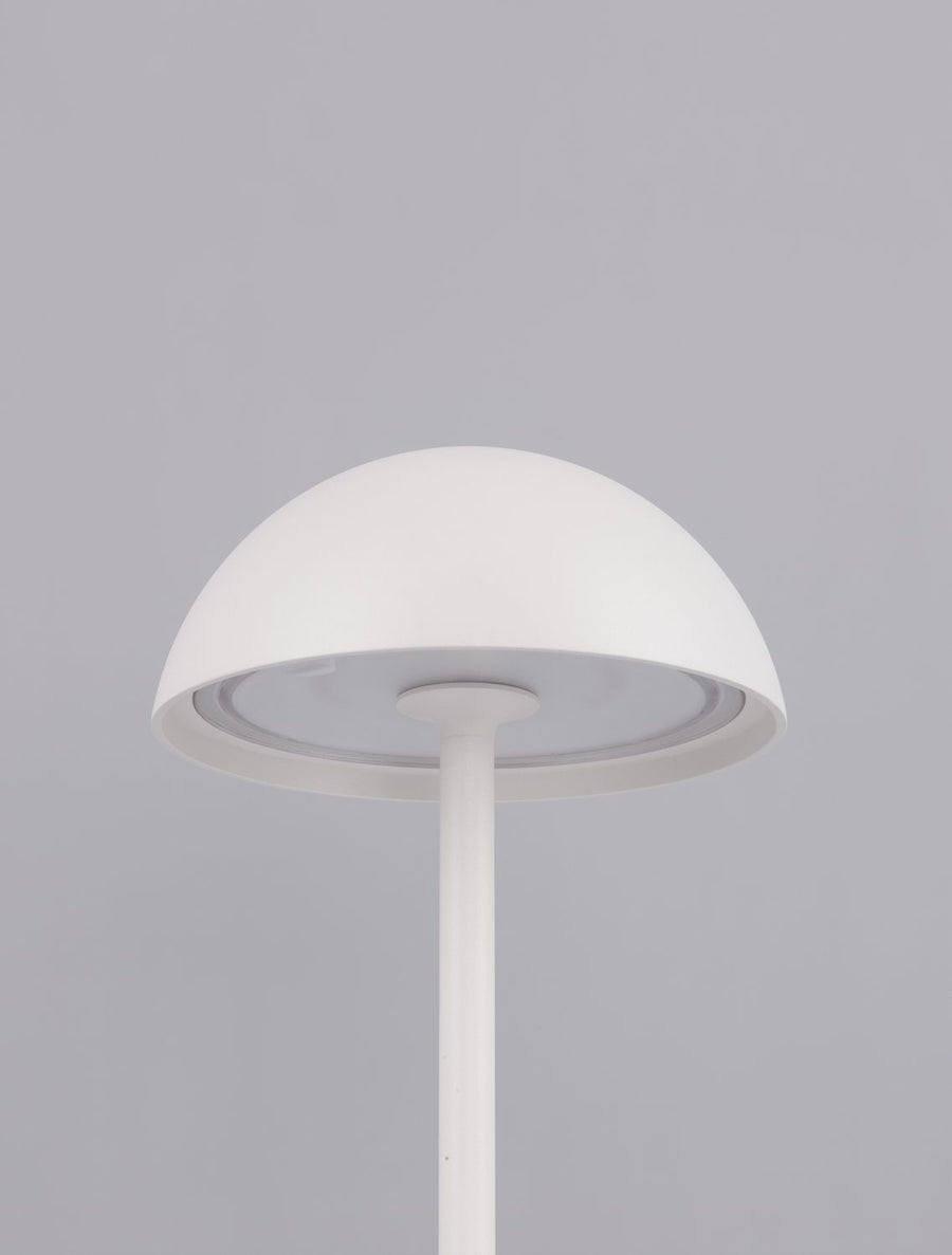 Lampe extérieure Rose blanche