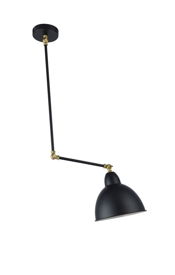 Suspension luminaire | Virgo Noire