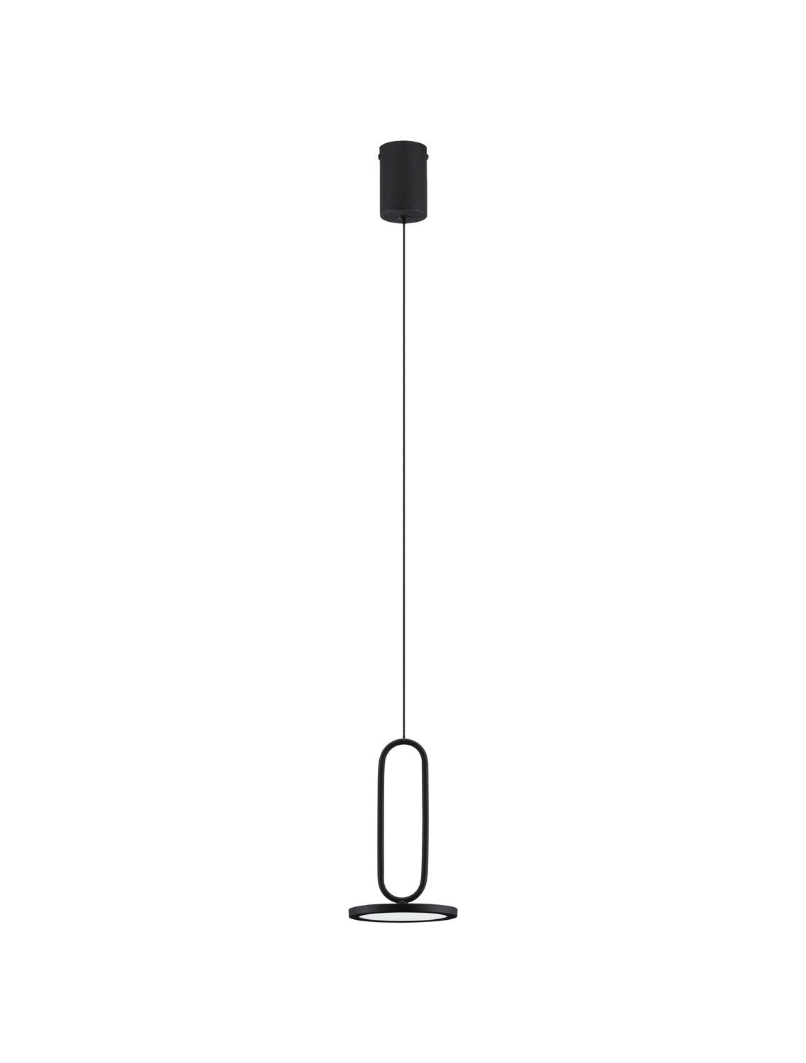 Vue de face du luminaire suspendu sur fond blanc avec câble et rosace