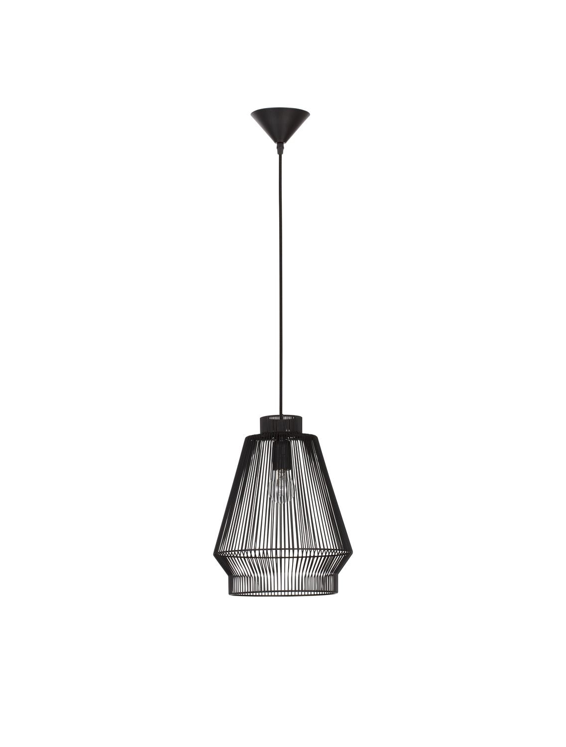 Vue de face du luminaire noir sur fond blanc, câble et rosace visibles