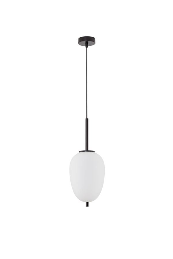 Luminaire présenté de face sur fond blanc, câble, rosace et verre ovale