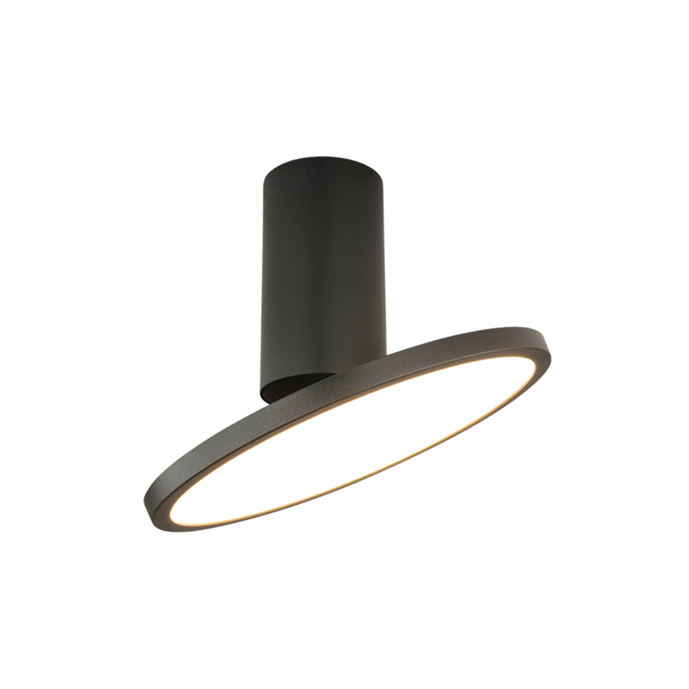Plafonnier Orientable ZAMBELIS 12W DESIGN Noir Sable 25304
