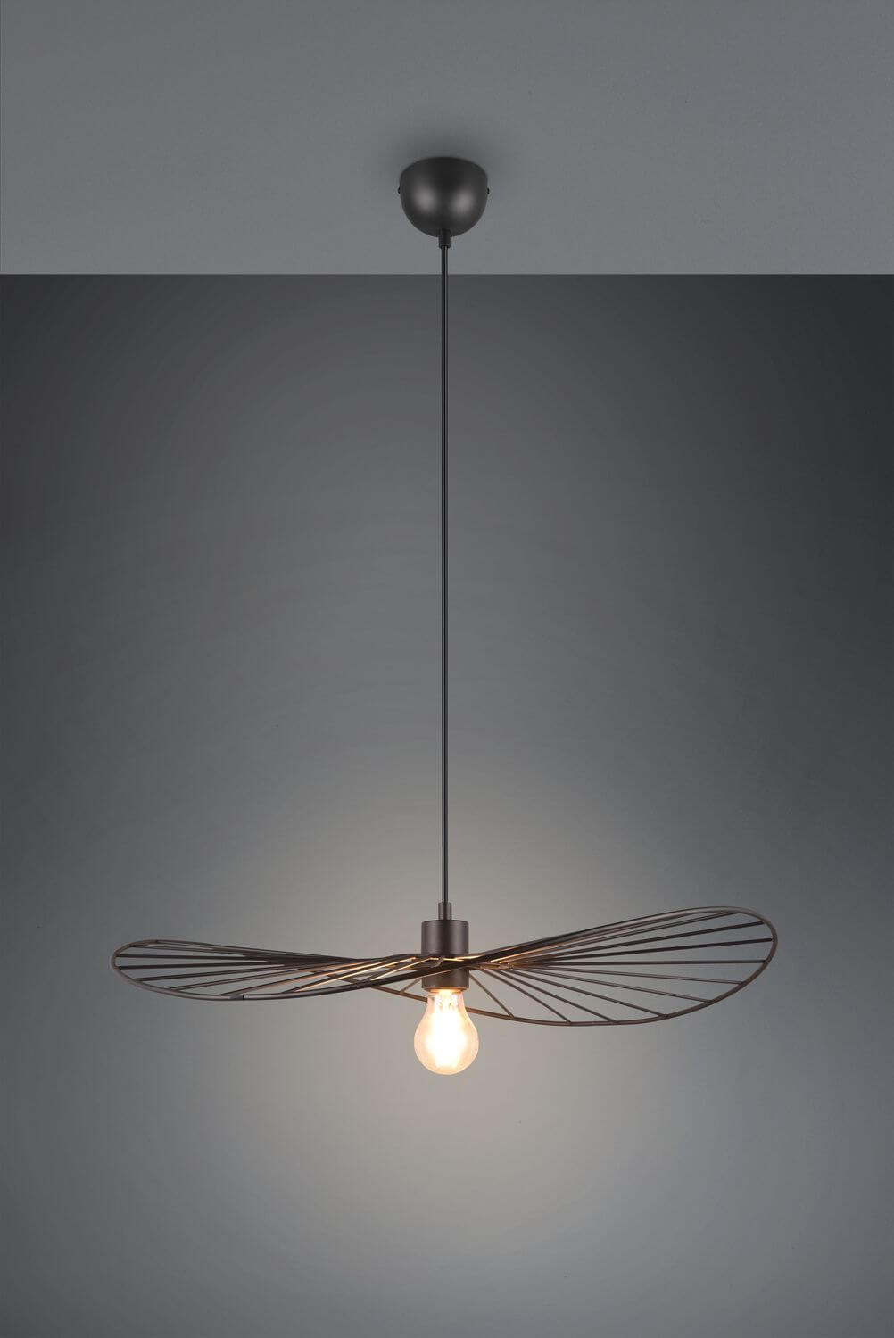 Produit seul sur fond gris, suspendu, mettant en valeur l'abat-jour filaire noir.