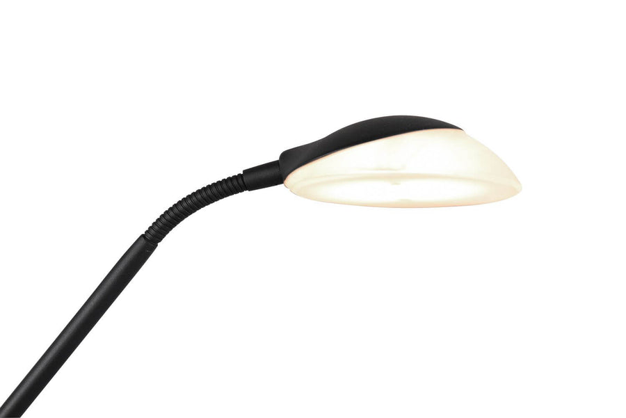 Plan serré sur la tête de lecture noire et le col flexible strié, orientable.