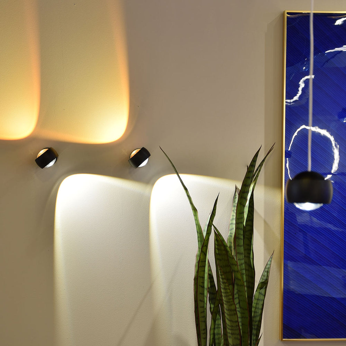 Vue rapprochée de deux appliques noires près d'une plante et cadre bleu