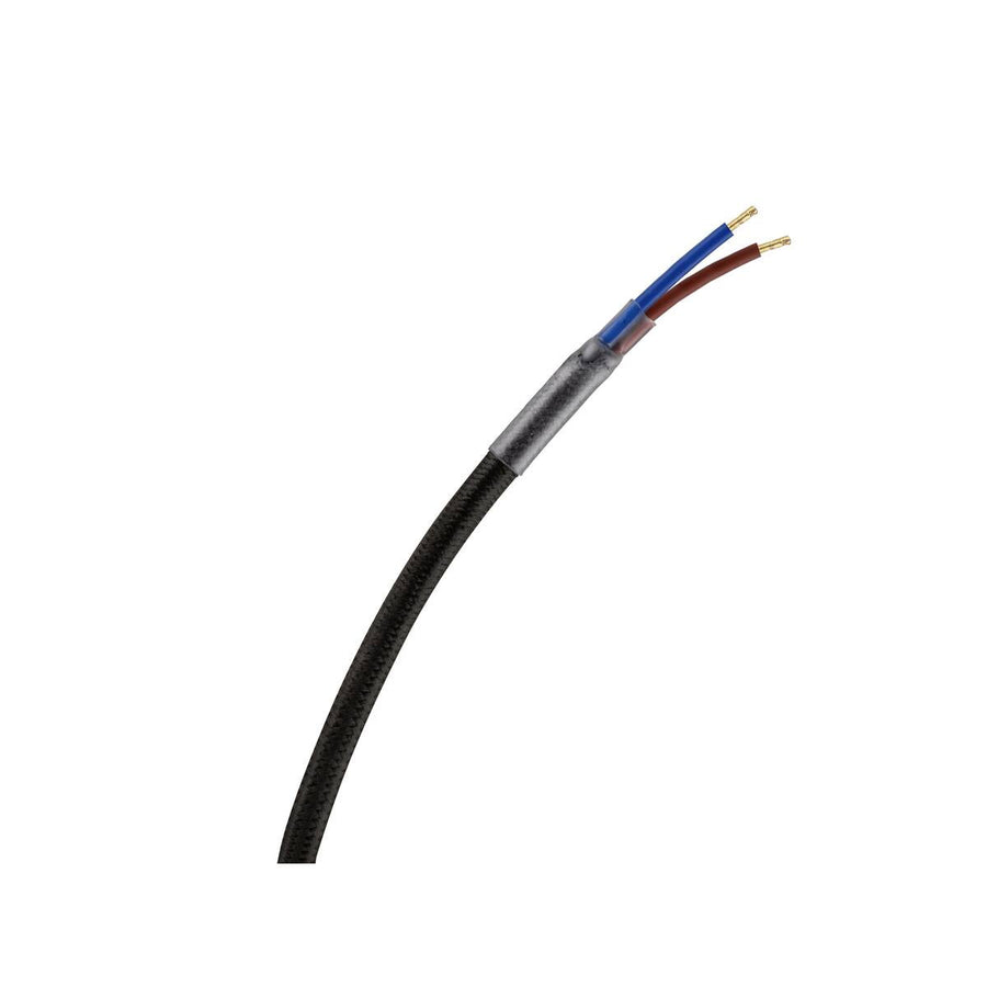 Détail du câble électrique dénudé avec fils bleu et marron apparents.