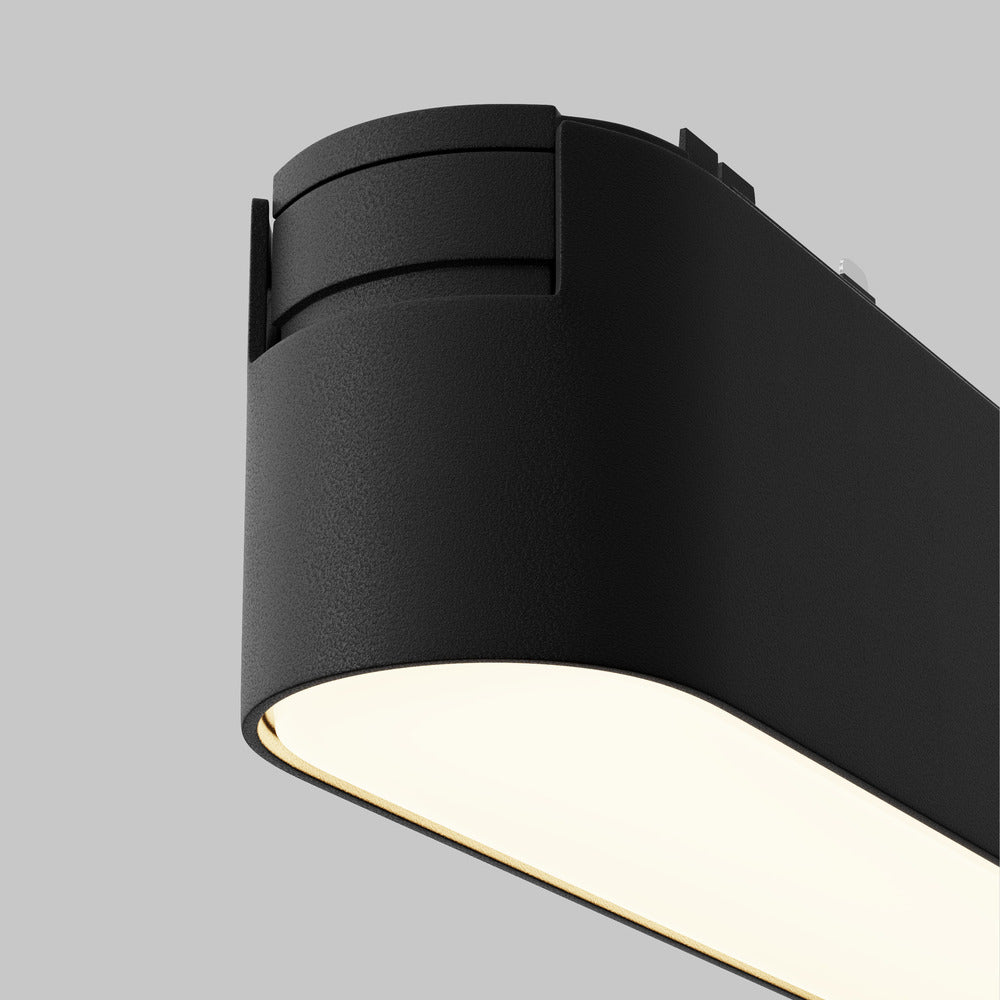 Basis Spot noir